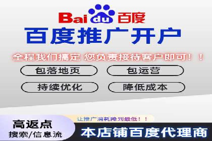 百度竞价排名实战：关键词优化与数据分析案例